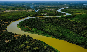 Investimento no ecoturismo do Pantanal: Resiliência e oportunidades