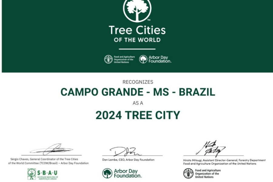 Campo Grande recebe pelo sexto ano consecutivo o título de Tree City of the World, consolidando-se como referência nacional em arborização e sustentabilidade.