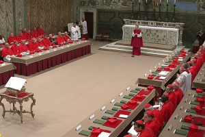 Quatro dos sete cardeais brasileiros que votam na eleição do novo Papa já estão em Roma. Os outros três embarcam ainda esta semana.